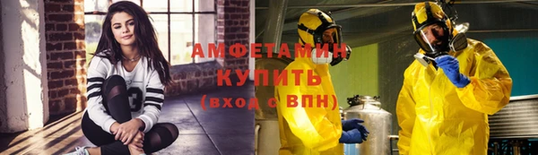 прущая мука Вяземский