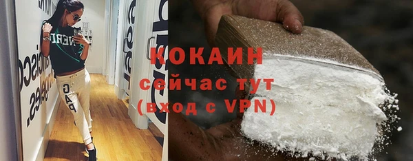 прущая мука Вяземский