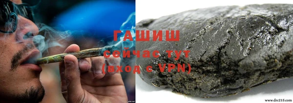 прущая мука Вяземский